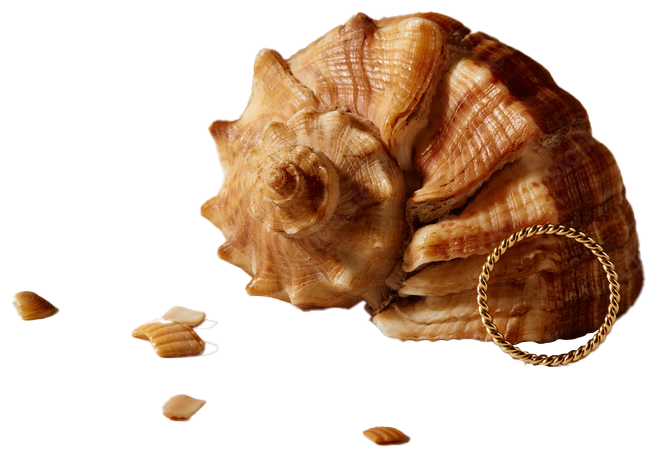 Coquillage et bijoux Coquillage et bijoux